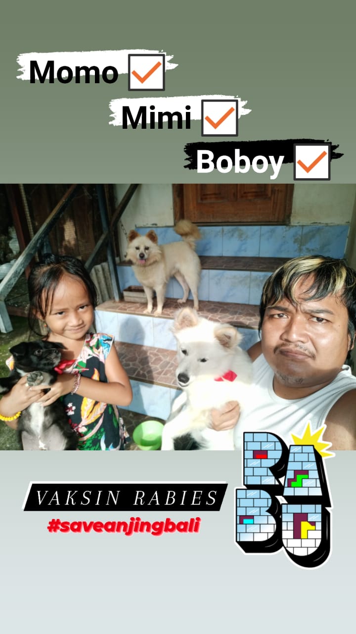 PELAKASANAAN VAKSINASI RABIES ANJNG PELIHARAAN DIDESA SELABIH