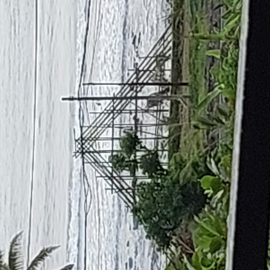 MEMBANGUN JEMBATAN UNIK