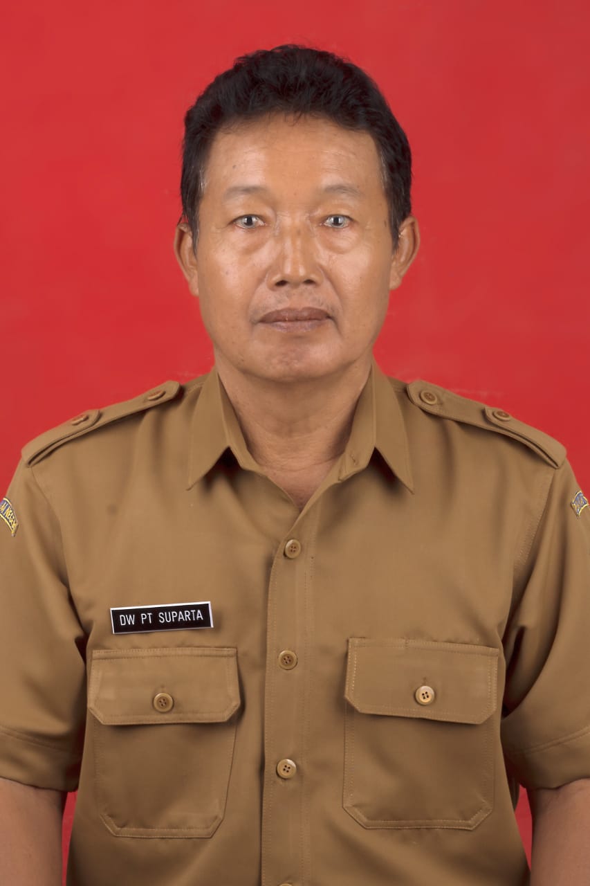 I DEWA PUTU SUPARTHA