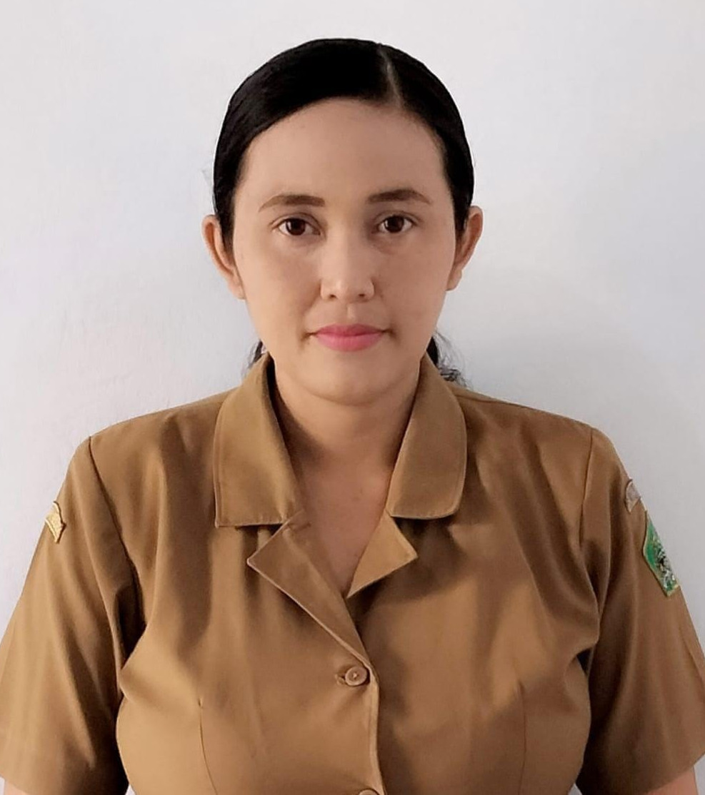 NI WAYAN ERNA SINTIA SARI